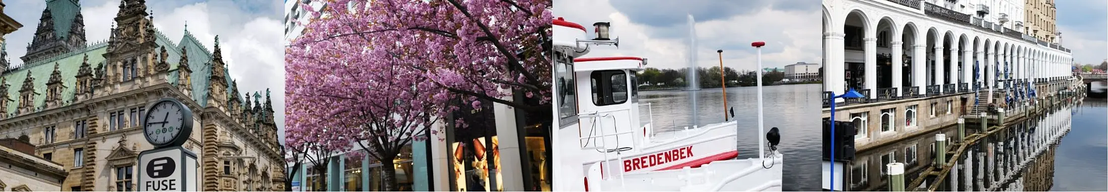 Eine Collage zeigt Eindrücke aus der Hamburger Innenstadt: das Rathaus mit FUSE-Schild im Vordergrund, rosa blühende Bäume, ein Schiff auf der Alster sowie die Alsterarkaden am Wasser.