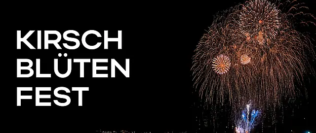 Feuerwerk beim Kirschblütenfest 2025 in Hamburg über der nächtlichen Alster, festlich inszeniert mit eindrucksvollen Lichtern und dunklem Himmel