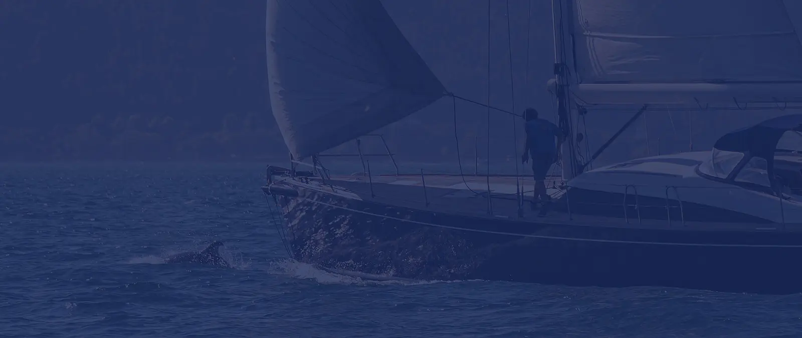 Pantaenius Website